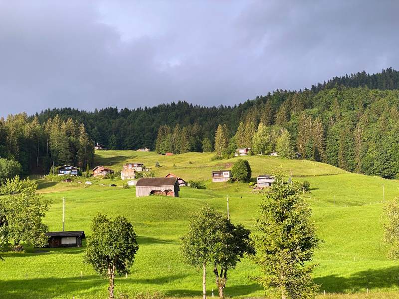 Wide view of lush green artificial grass installed in front of houses in Nevada